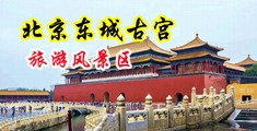 3P色色色中国北京-东城古宫旅游风景区